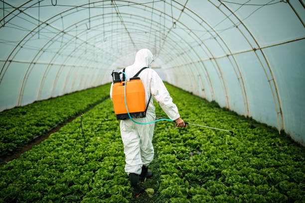 Best Pest Control for Businesses  in Lake Barcroft, VA
