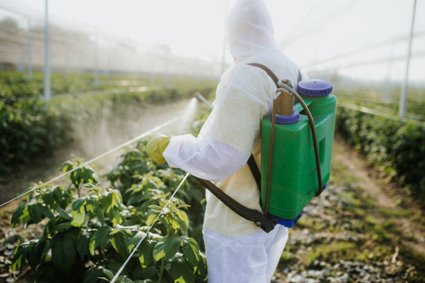 Reliable Lake Barcroft, VA Pest Control Solutions